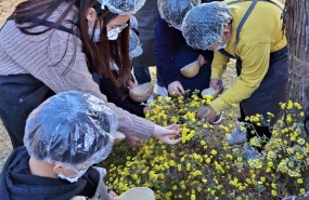활동사진